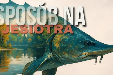 Jak obrobić jesiotra? Praktyczny poradnik krok po kroku